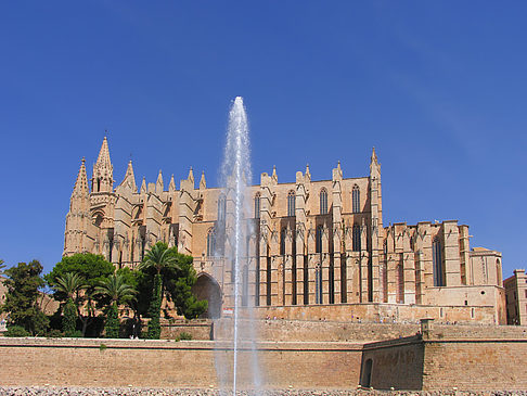 Foto Die Kathedrale - Palma de Maljorka