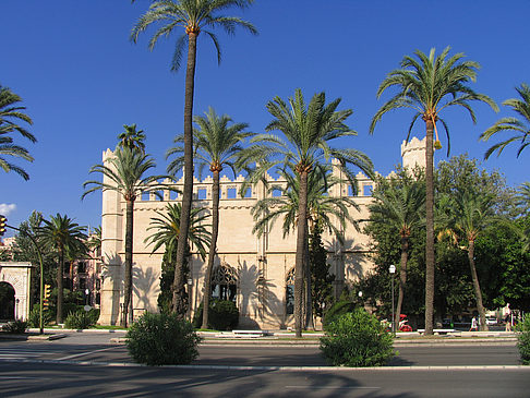 Foto La Llotja - Palma de Maljorka