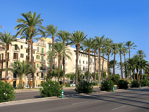 Auf den Straßen von Palma Foto 