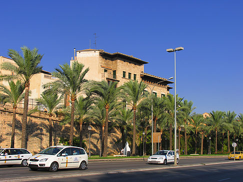 Foto Auf den Straßen von Palma