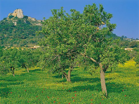 Wetter / Klima Spanien Ansicht von Citysam  Spanien 