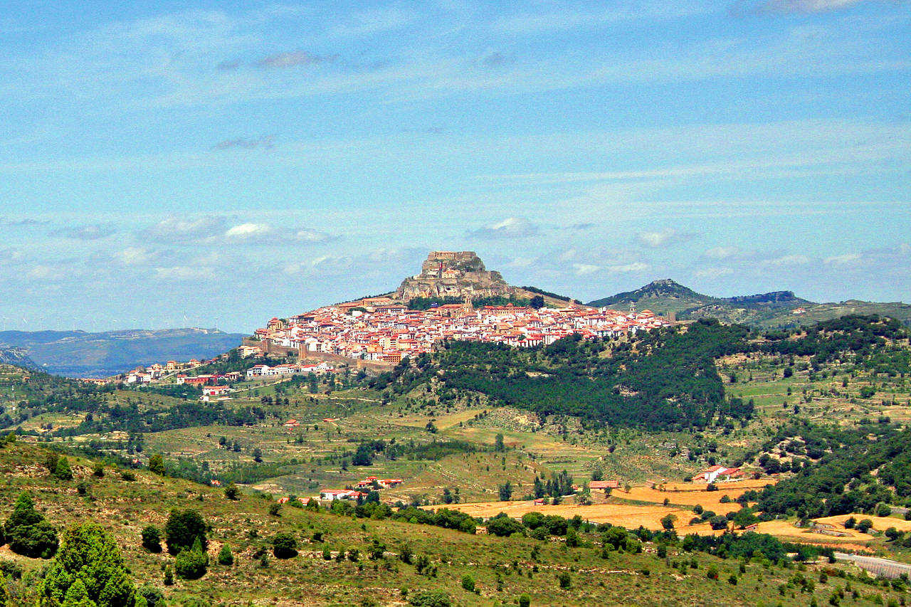 Morella