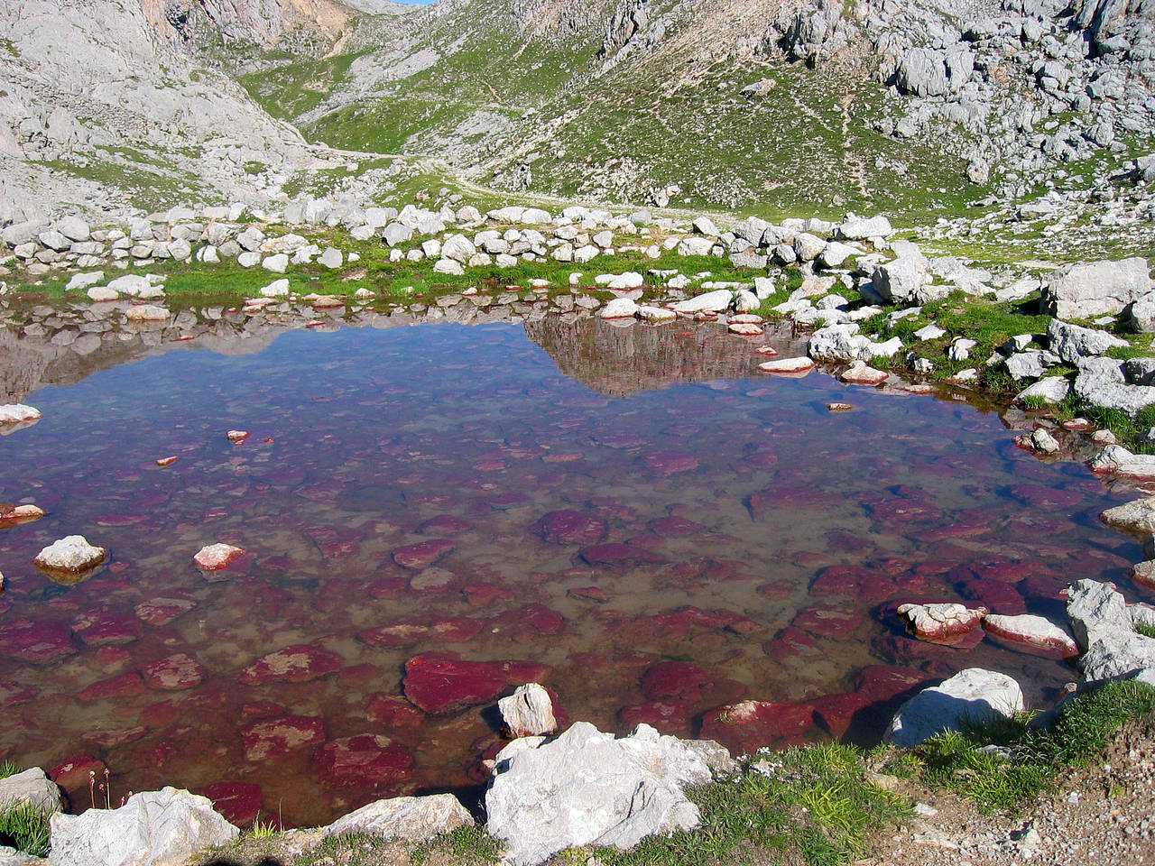 Picos de Europa Foto 