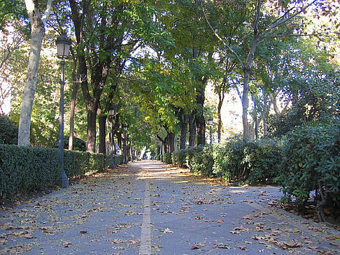 Fotos Museo del Prado