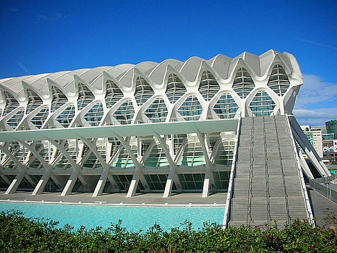 Fotos Museo de Bellas Artes València | Valencia