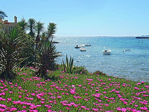 Mar Menor - Landesinnere (La Manga del Mar Menor)