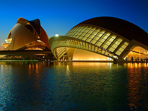 Fotos Museo de Bellas Artes València | Valencia